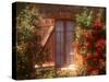 House with Summer Roses in Bloom, Vaucluse, France-Walter Bibikow-Stretched Canvas