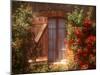 House with Summer Roses in Bloom, Vaucluse, France-Walter Bibikow-Mounted Photographic Print