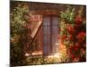 House with Summer Roses in Bloom, Vaucluse, France-Walter Bibikow-Mounted Photographic Print