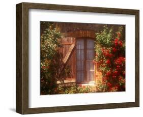 House with Summer Roses in Bloom, Vaucluse, France-Walter Bibikow-Framed Photographic Print