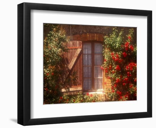 House with Summer Roses in Bloom, Vaucluse, France-Walter Bibikow-Framed Photographic Print