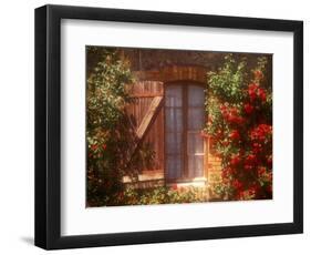 House with Summer Roses in Bloom, Vaucluse, France-Walter Bibikow-Framed Photographic Print