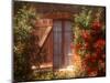 House with Summer Roses in Bloom, Vaucluse, France-Walter Bibikow-Mounted Photographic Print