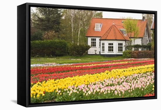 House with Tulipfield-Colette2-Framed Stretched Canvas