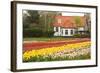 House with Tulipfield-Colette2-Framed Photographic Print