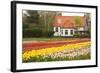 House with Tulipfield-Colette2-Framed Photographic Print