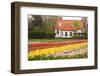 House with Tulipfield-Colette2-Framed Photographic Print