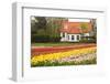 House with Tulipfield-Colette2-Framed Photographic Print