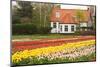 House with Tulipfield-Colette2-Mounted Photographic Print