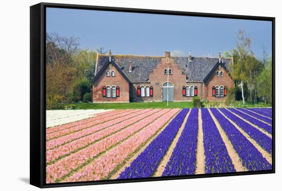 House with View on Hyacinthfields-Colette2-Framed Stretched Canvas