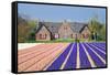 House with View on Hyacinthfields-Colette2-Framed Stretched Canvas