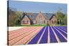 House with View on Hyacinthfields-Colette2-Stretched Canvas