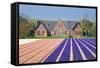 House with View on Hyacinthfields-Colette2-Framed Stretched Canvas