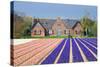 House with View on Hyacinthfields-Colette2-Stretched Canvas