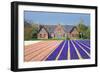 House with View on Hyacinthfields-Colette2-Framed Photographic Print