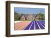 House with View on Hyacinthfields-Colette2-Framed Photographic Print