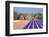 House with View on Hyacinthfields-Colette2-Framed Photographic Print