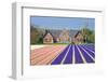 House with View on Hyacinthfields-Colette2-Framed Photographic Print