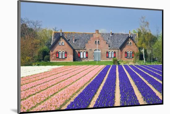 House with View on Hyacinthfields-Colette2-Mounted Photographic Print