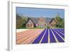 House with View on Hyacinthfields-Colette2-Framed Photographic Print