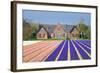 House with View on Hyacinthfields-Colette2-Framed Photographic Print