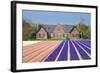 House with View on Hyacinthfields-Colette2-Framed Photographic Print