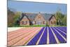 House with View on Hyacinthfields-Colette2-Mounted Photographic Print