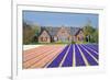 House with View on Hyacinthfields-Colette2-Framed Photographic Print