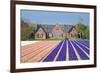 House with View on Hyacinthfields-Colette2-Framed Photographic Print