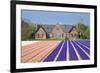 House with View on Hyacinthfields-Colette2-Framed Photographic Print