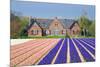 House with View on Hyacinthfields-Colette2-Mounted Photographic Print