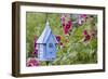 House Wren at Blue Nest Box Near Hollyhocks. Marion, Illinois, Usa-Richard ans Susan Day-Framed Photographic Print