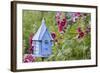 House Wren at Blue Nest Box Near Hollyhocks. Marion, Illinois, Usa-Richard ans Susan Day-Framed Photographic Print