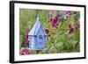 House Wren at Blue Nest Box Near Hollyhocks. Marion, Illinois, Usa-Richard ans Susan Day-Framed Photographic Print