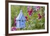 House Wren at Blue Nest Box Near Hollyhocks. Marion, Illinois, Usa-Richard ans Susan Day-Framed Photographic Print