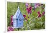 House Wren at Blue Nest Box Near Hollyhocks. Marion, Illinois, Usa-Richard ans Susan Day-Framed Photographic Print