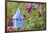 House Wren at Blue Nest Box Near Hollyhocks. Marion, Illinois, Usa-Richard ans Susan Day-Framed Photographic Print