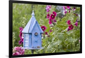 House Wren at Blue Nest Box Near Hollyhocks. Marion, Illinois, Usa-Richard ans Susan Day-Framed Photographic Print