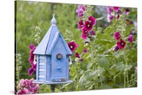 House Wren at Blue Nest Box Near Hollyhocks. Marion, Illinois, Usa-Richard ans Susan Day-Stretched Canvas