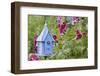 House Wren at Blue Nest Box Near Hollyhocks. Marion, Illinois, Usa-Richard ans Susan Day-Framed Photographic Print