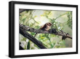 House Wren, the Harmonious Singing, 2010-Cruz Jurado Traverso-Framed Giclee Print