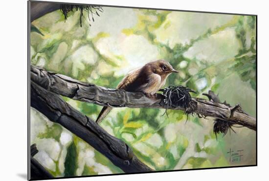 House Wren, the Harmonious Singing, 2010-Cruz Jurado Traverso-Mounted Giclee Print