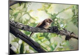 House Wren, the Harmonious Singing, 2010-Cruz Jurado Traverso-Mounted Giclee Print