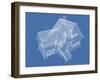 House-Nikonaft-Framed Art Print