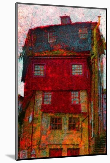 House-André Burian-Mounted Photographic Print