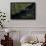 Houseboat on River. Potaro-Siparuni Region. Brazil, Guyana Border, Guyana-Pete Oxford-Framed Photographic Print displayed on a wall