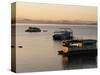 Houseboats at Dawn at Cutty Sark Hotel Marina, Lake Kariba, Zimbabwe, Africa-David Poole-Stretched Canvas