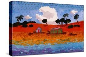 Houseboats on the Amazon River-John Newcomb-Stretched Canvas