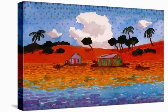 Houseboats on the Amazon River-John Newcomb-Stretched Canvas