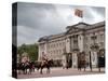 Household Cavalry at 2012 Trooping Colour Ceremony at Buckingham Palace, London, England-Adina Tovy-Stretched Canvas